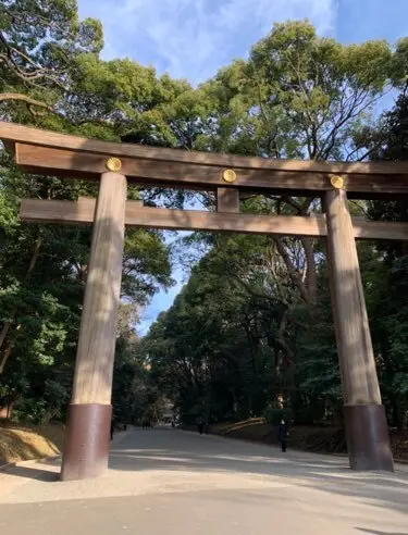 明治神宮の鳥居建て替えの画像_4