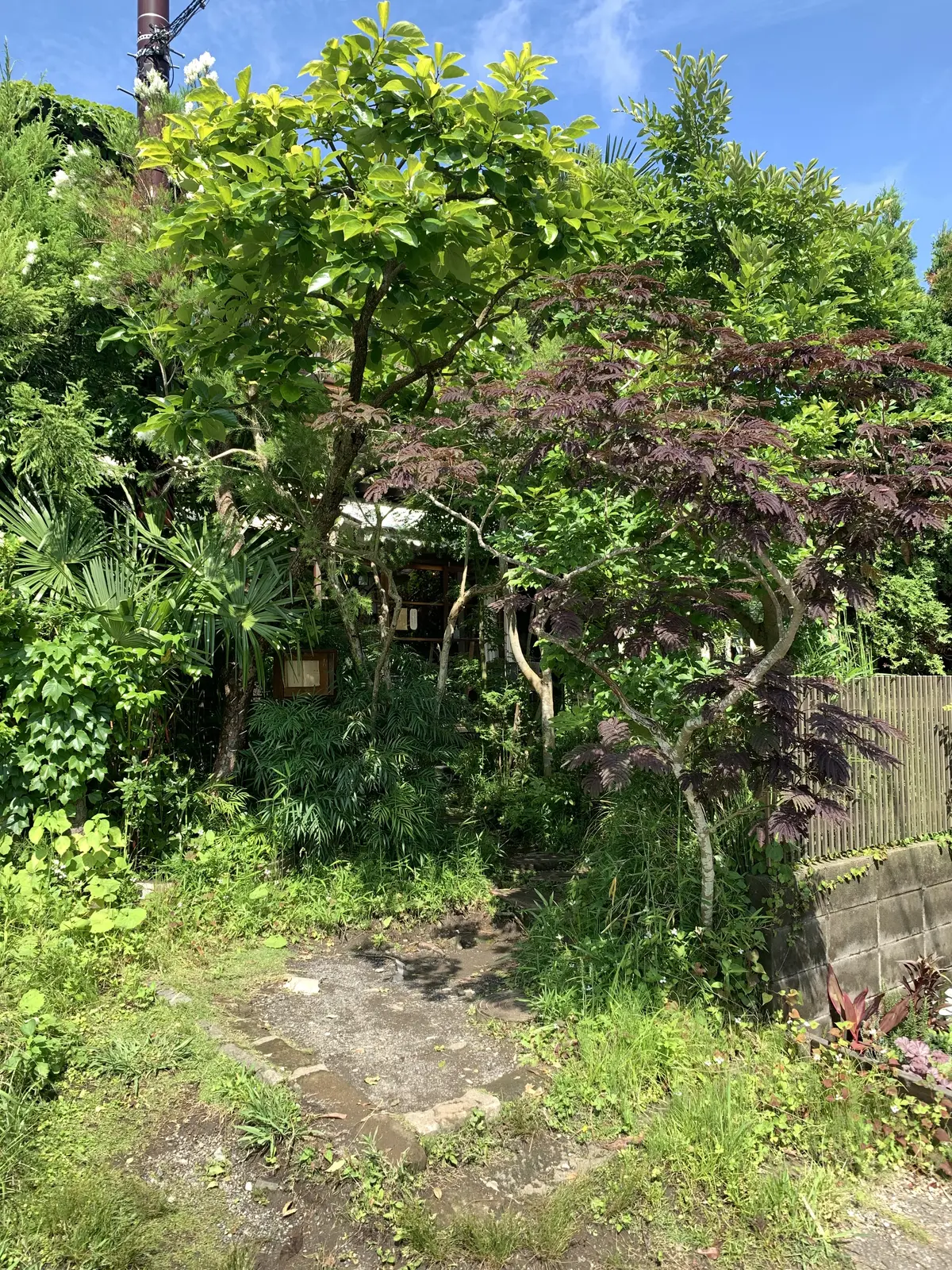 ミンカ　鎌倉　古民家カフェ