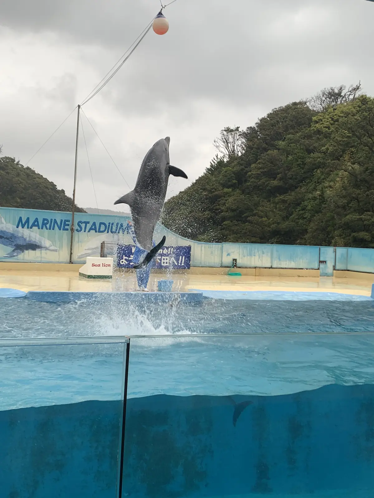 今年の春旅はハリウッド女優もお忍びで訪れの画像_13