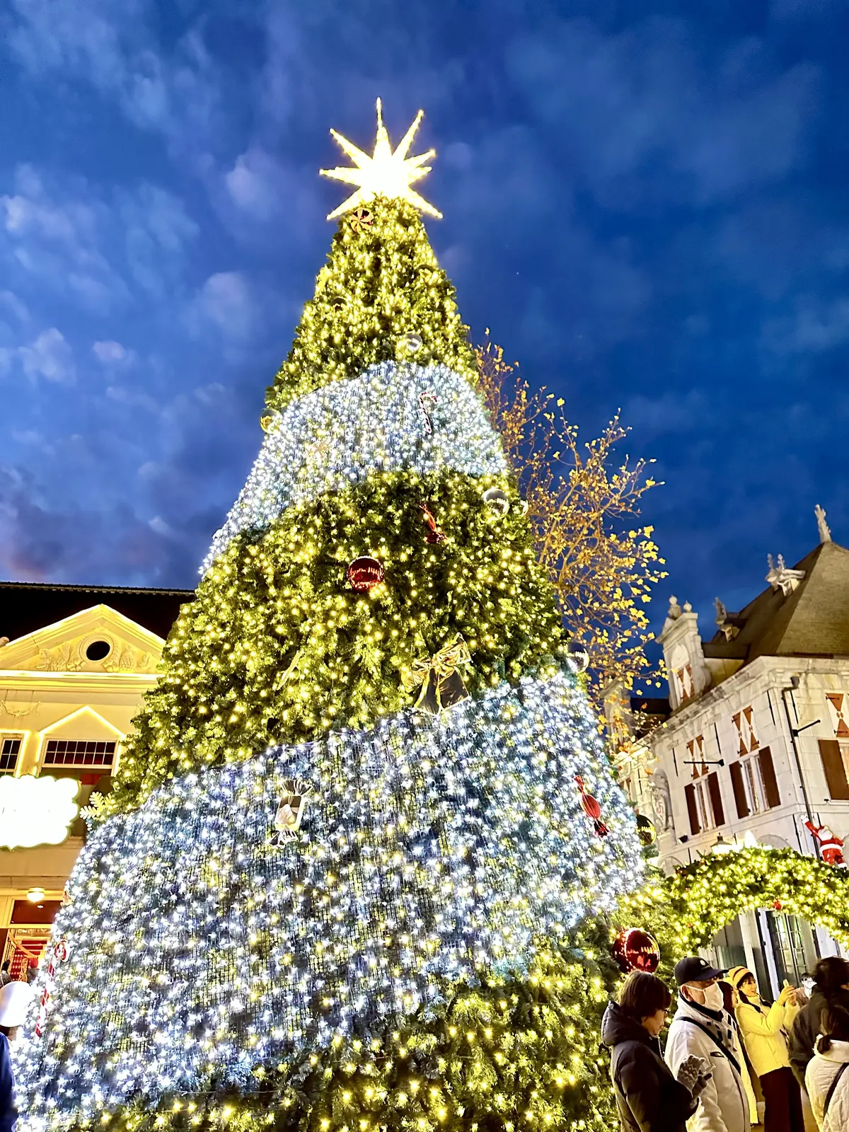 【後編】ハウステンボスのクリスマス  〜の画像_3