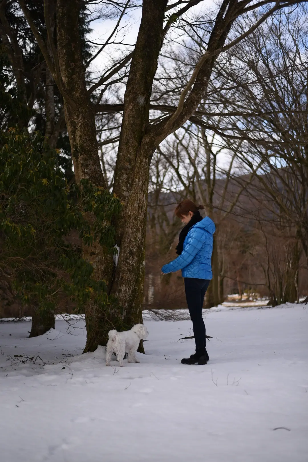 ヘルシー簡単美味な蒸篭に夢中🎵の画像_11