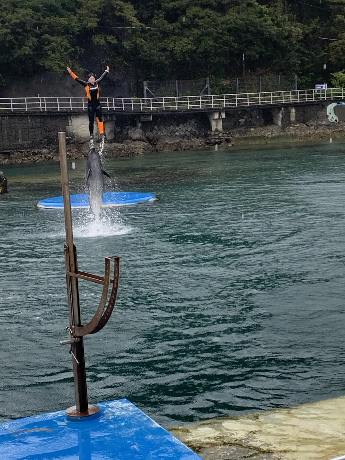 ショーのクライマックス　トレーナーを持ち上げるイルカ