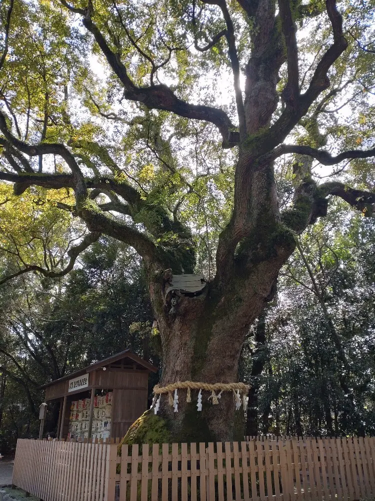 フラリゆるゆる名古屋旅の画像_4