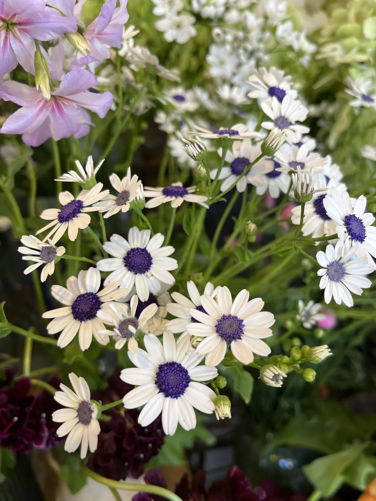 ハッとするようブーケをの画像_13