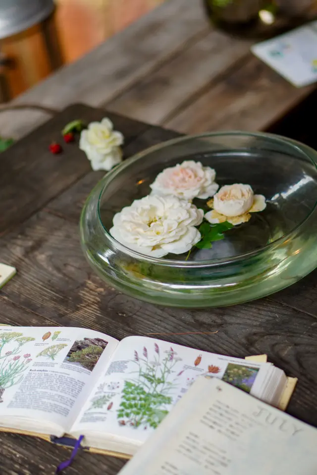 涼しい高原で一足早い夏休み🎵の画像_1