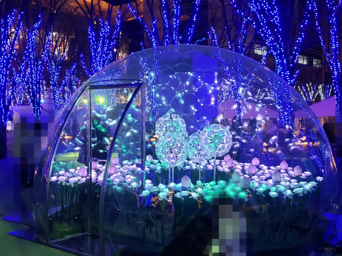 イルミネーション