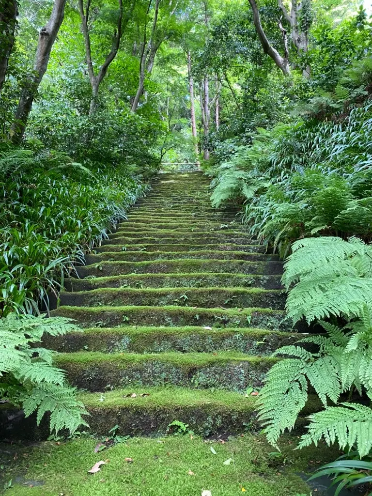 雨の日シューズと大切なジュエリーの画像_5