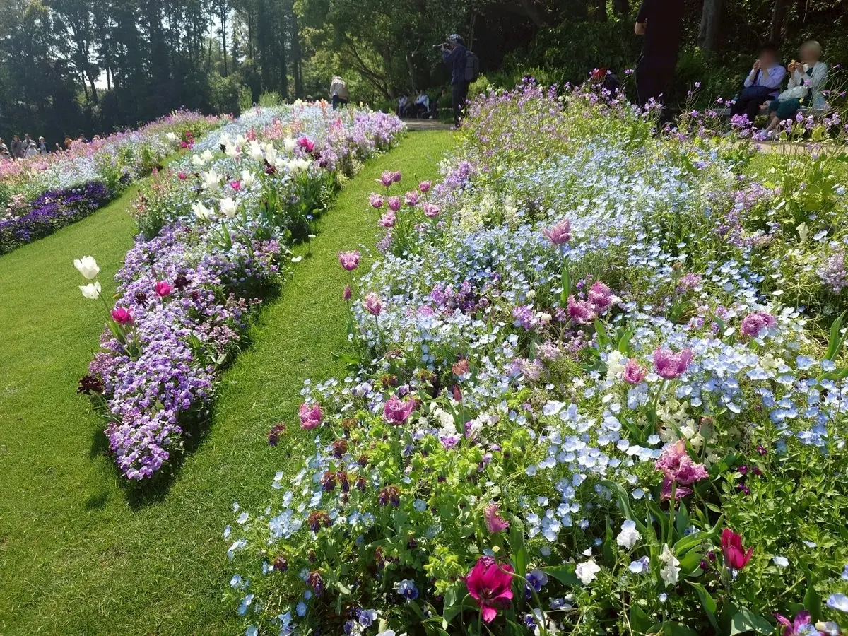里山ガーデンフェスタ