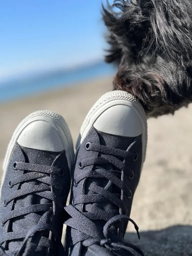 ネイビーで楽しむ春夏スタイルの画像_4