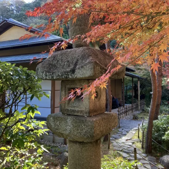 鎌倉穴場の紅葉スポットの画像_6