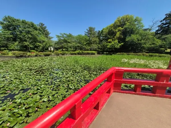 今が見ごろのバラ園と｢孤独のグルメ｣で人の画像_5