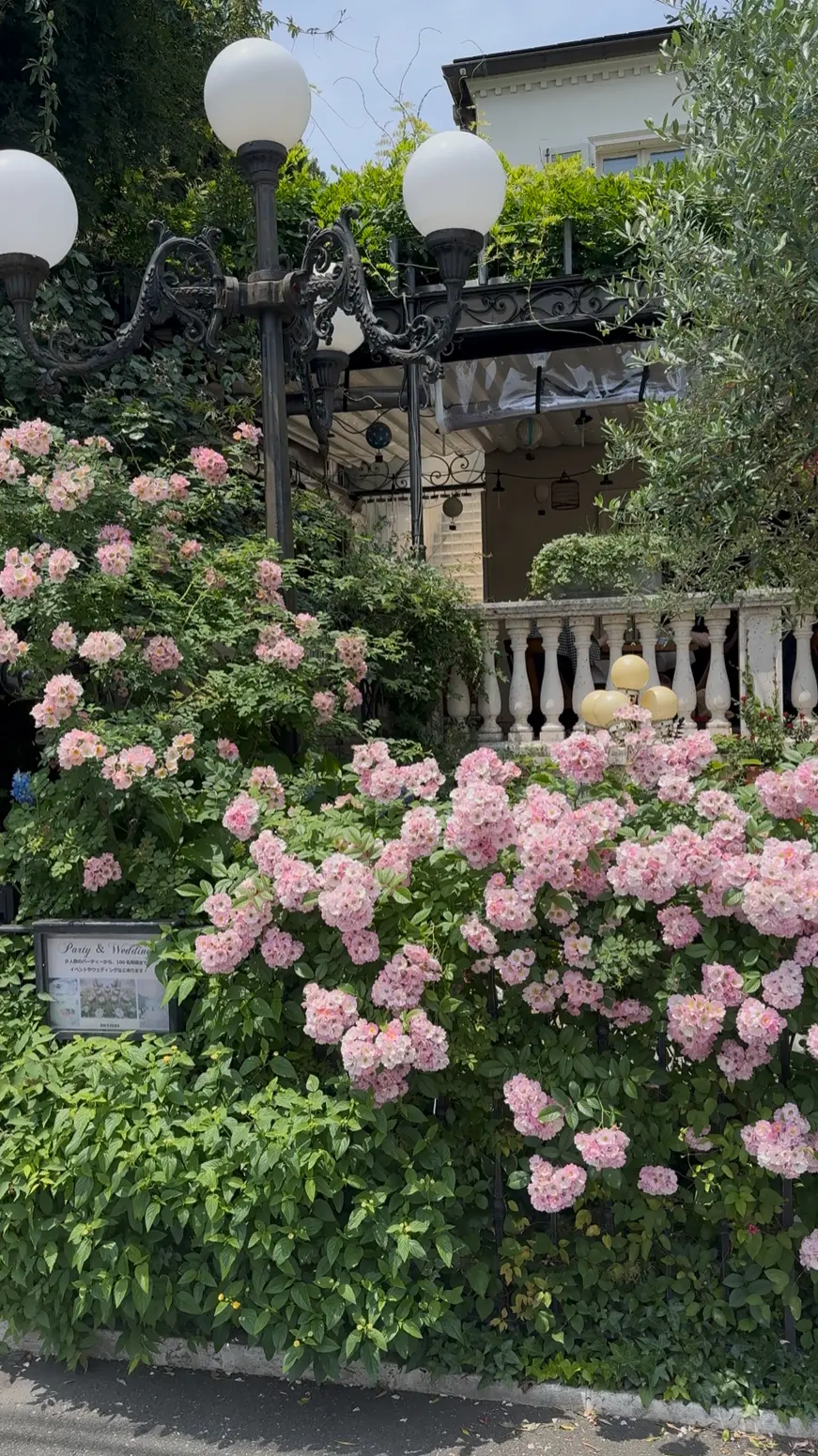 大人のヴィンテージ Tシャツ3styleの画像_10