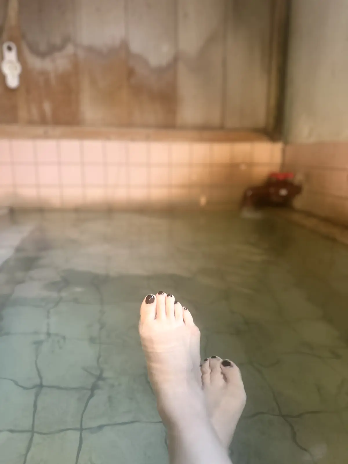 湯煙漂う河津桜並木を散策の画像_5