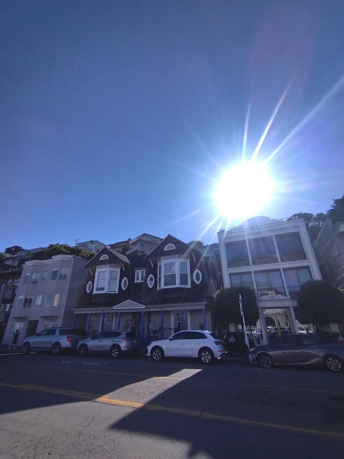 真夏の贅沢森林浴♡ミュアウッズ国定公園　の画像_14