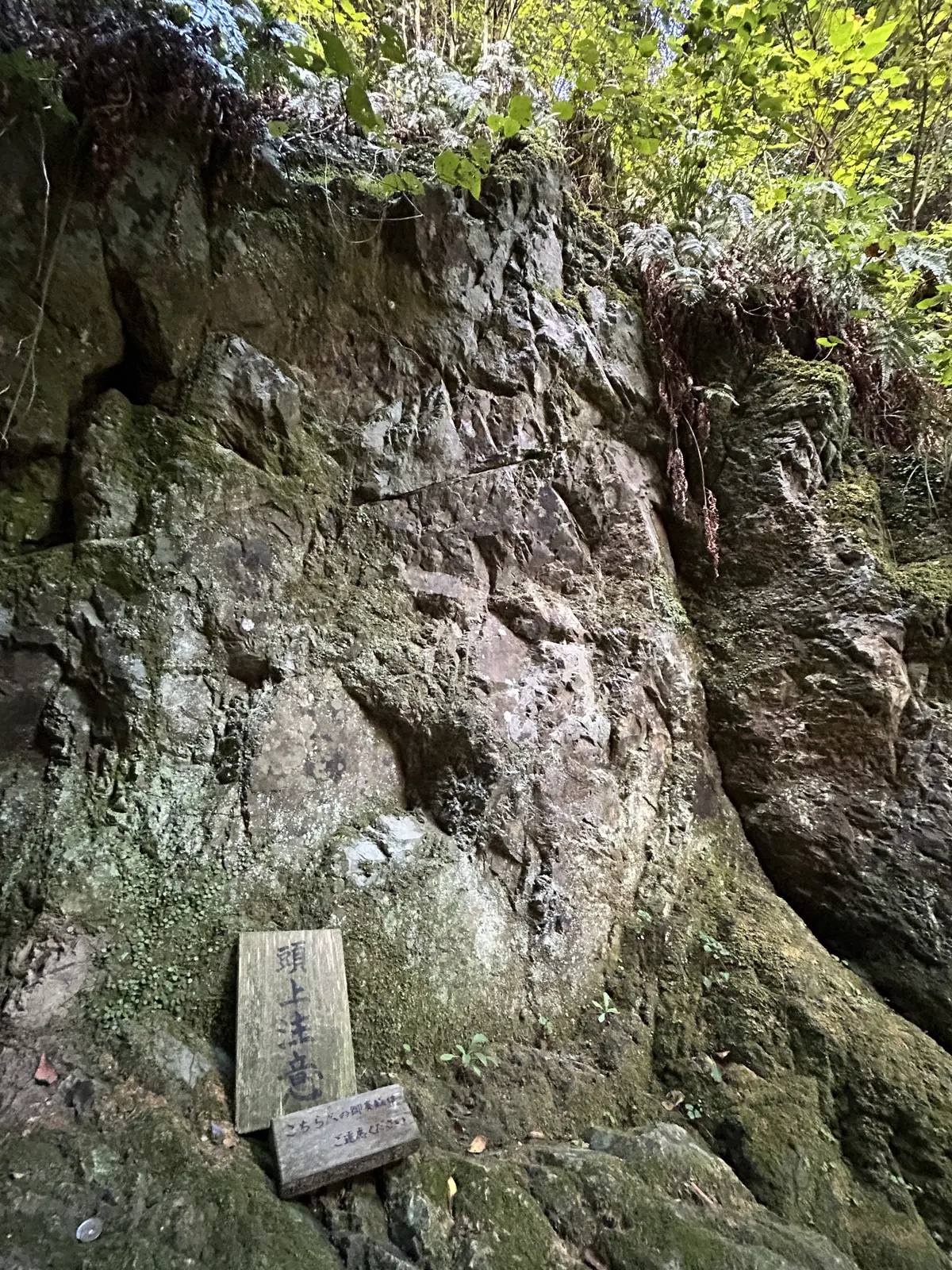縁結び•出雲大社に神々が集う神在祭  〜の画像_12