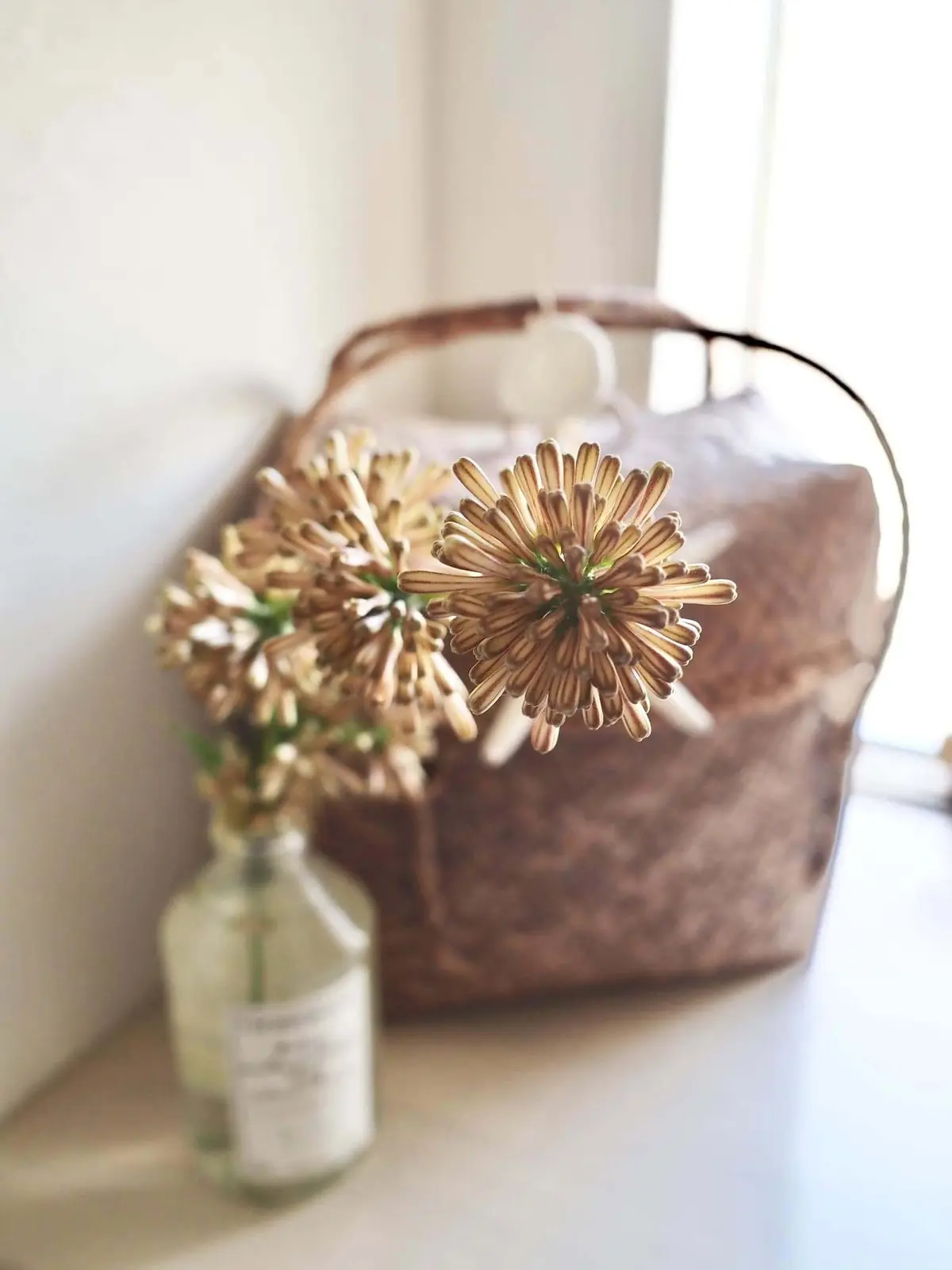 お福分け！奇跡が運ぶ「幸運」の花。の画像_1