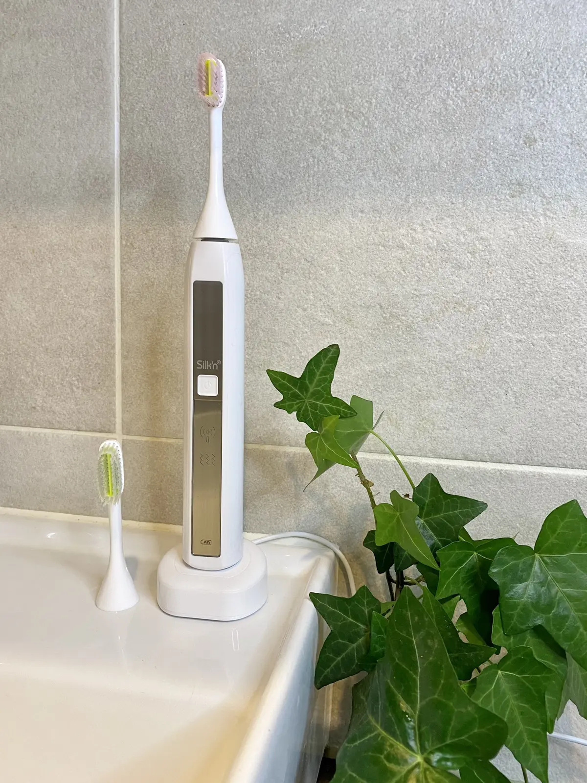 ブラシのサイズも大小あります