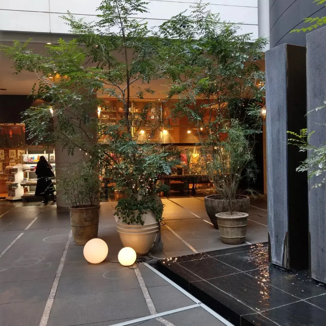 『マリー·ローランサンとモード』展と大人の画像_6