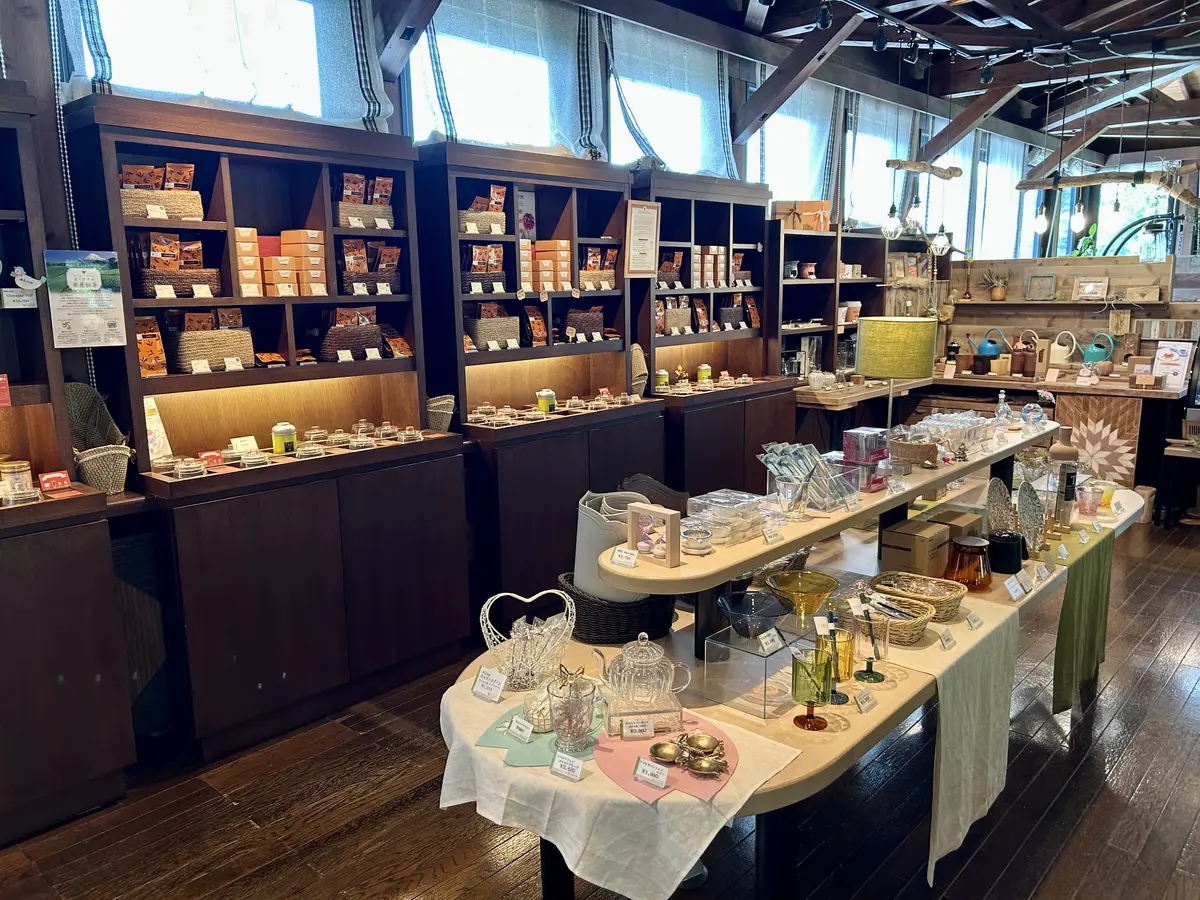 生まれ変わった山のホテル別館へ♪の画像_5