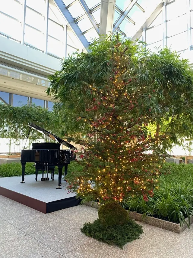 パークハイアットツリー