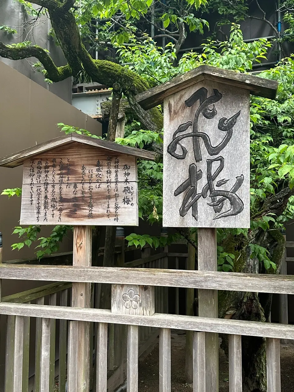 大人のラグジュアリー旅〜リッツカールトンの画像_16