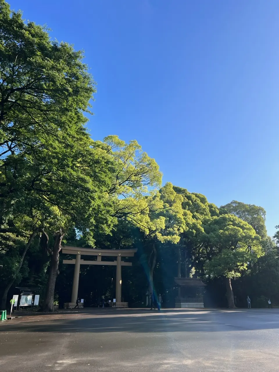 朝活！明治神宮への画像_1