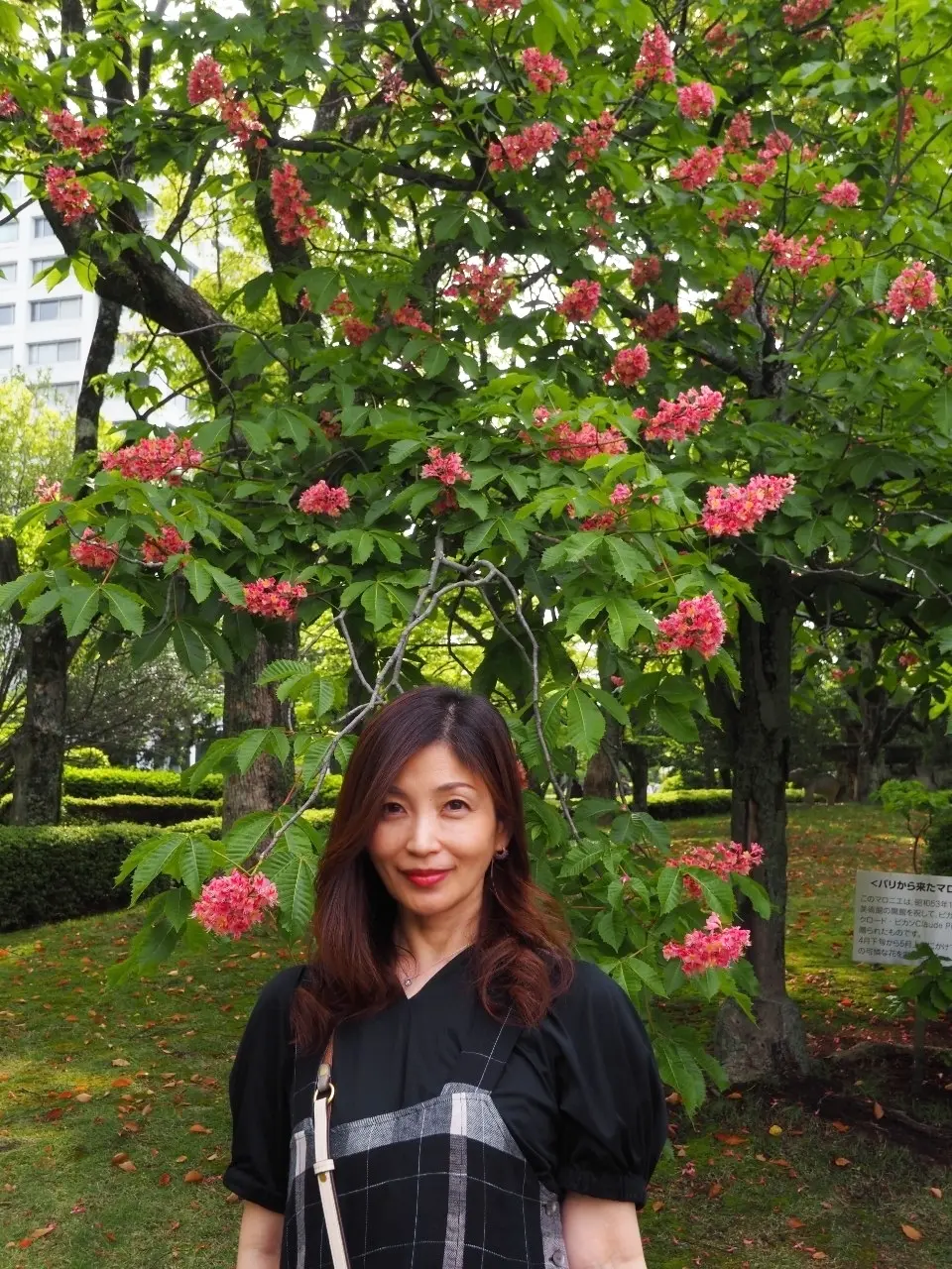 大好き!!北欧インテリア♡『フィンランドの画像_45