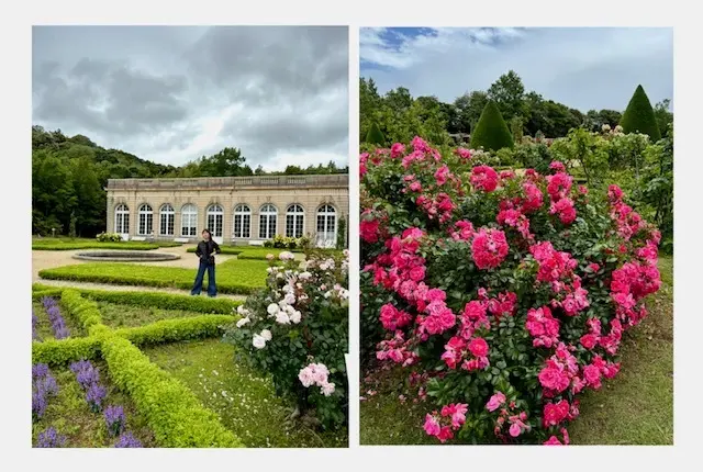 美しいバラに魅了された日♡の画像_2