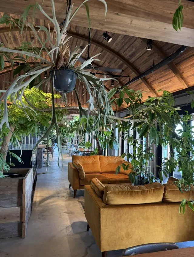 1000%の私の夏。の画像_10