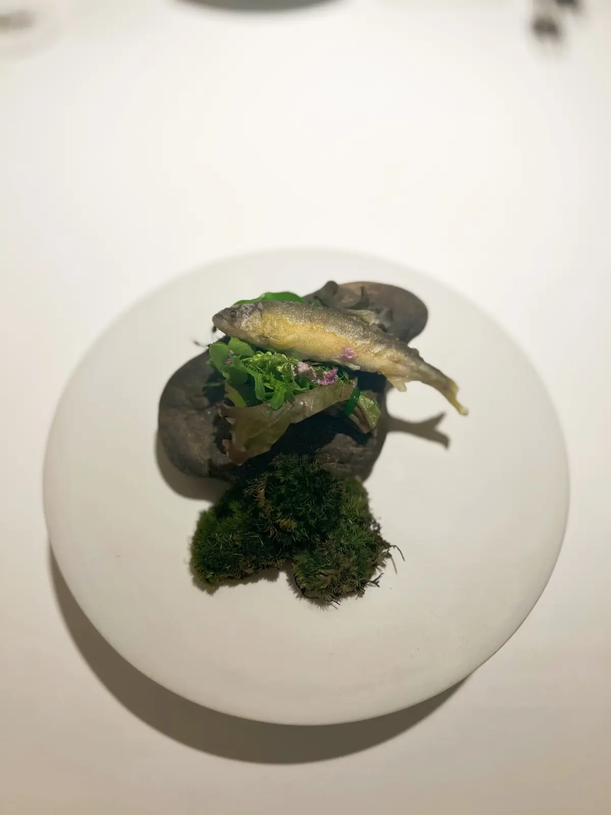 銀座でイチ推しレストラン‼︎の画像_3