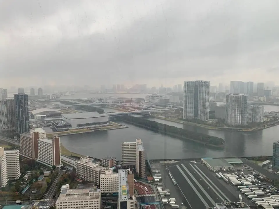 お花大好きな方におススメ。チームラボ豊洲の画像_5