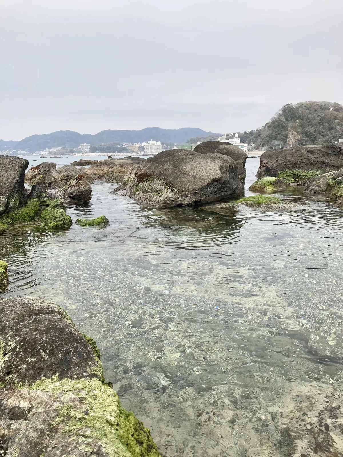 春の葉山へアジフライを食しに♡の画像_3