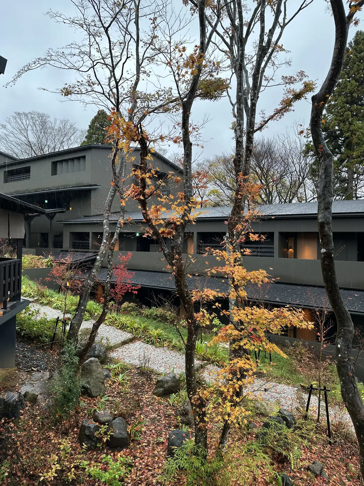 お部屋も居心地良過ぎた『ふふ箱根』【箱根の画像_9