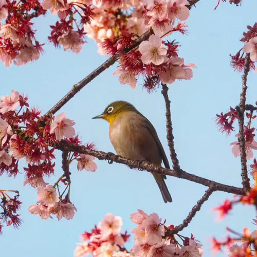 ドライブ♪の画像_2