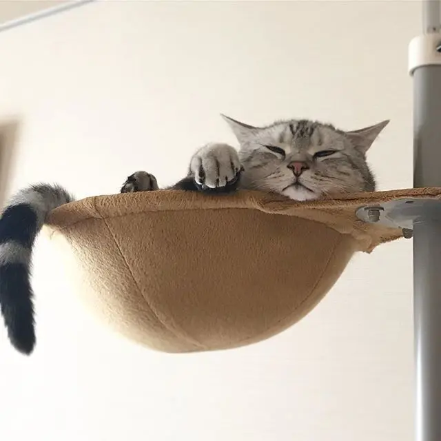 あごのせアラン