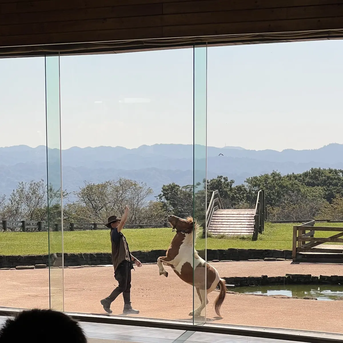 千葉県の「マザー牧場」　動物ショー　ポニー