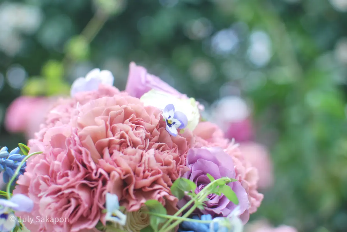 誰でもバラ姫☆@港の見える丘公園の画像_14