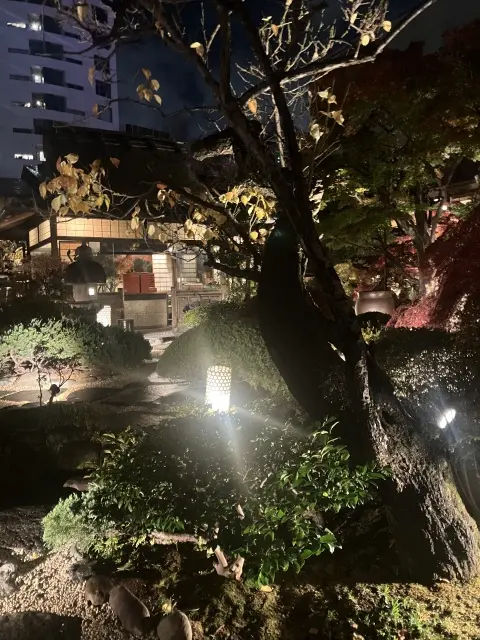 とうふやうかいでいつメンディナーの画像_13