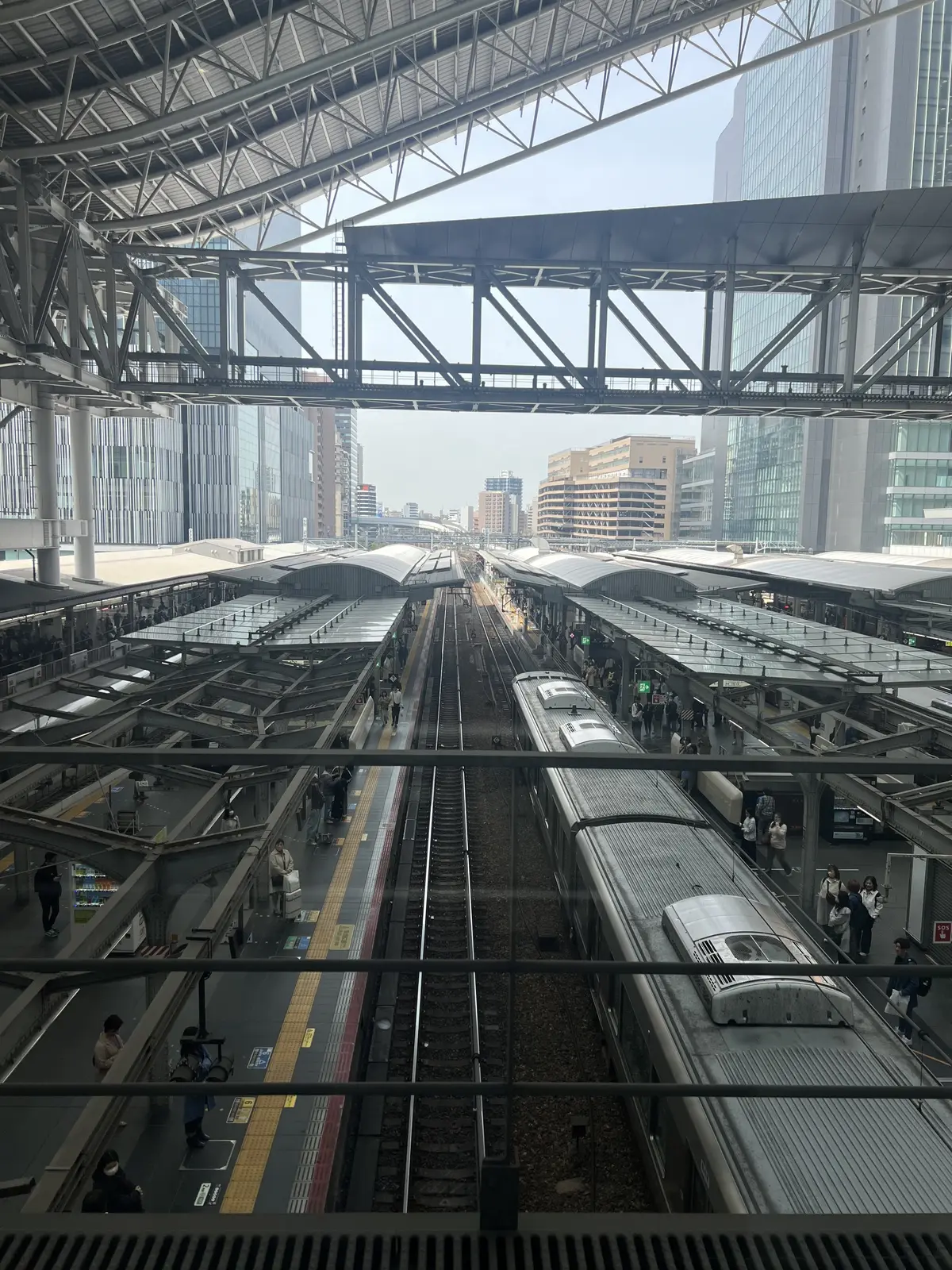 大阪ミニ旅・桜・アフタヌーンティー・ブッの画像_14