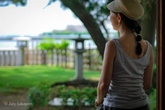 【さかぽんの冒険】七夕☆松ごしに望む海岸の画像_16