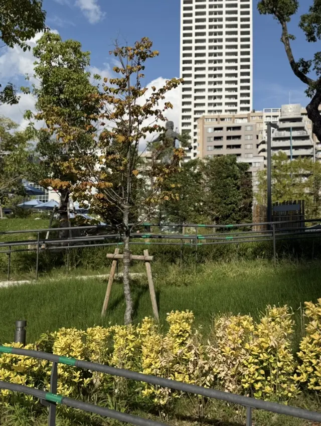 秋のお散歩日和にお気に入りのワンピースでの画像_8