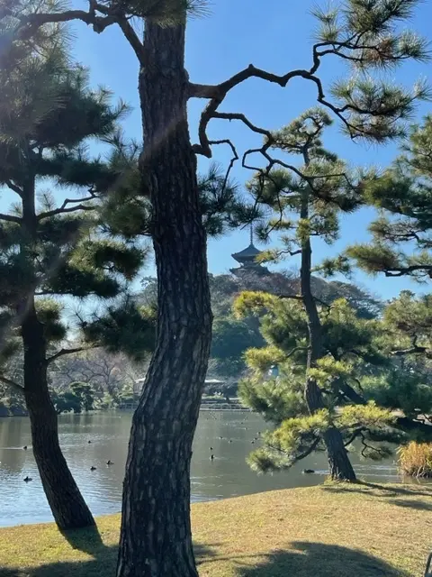 三渓園の画像_2