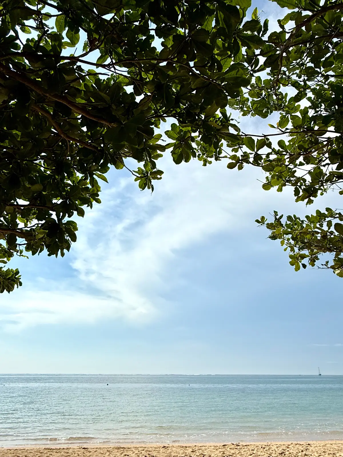 バリ島　サヌール　50代夫婦旅行　BALI 　プラマサヌールビーチホテル　PRAMA SANUR BEACH BALI　プライベートビーチ　サヌールビーチ　sanuru beach