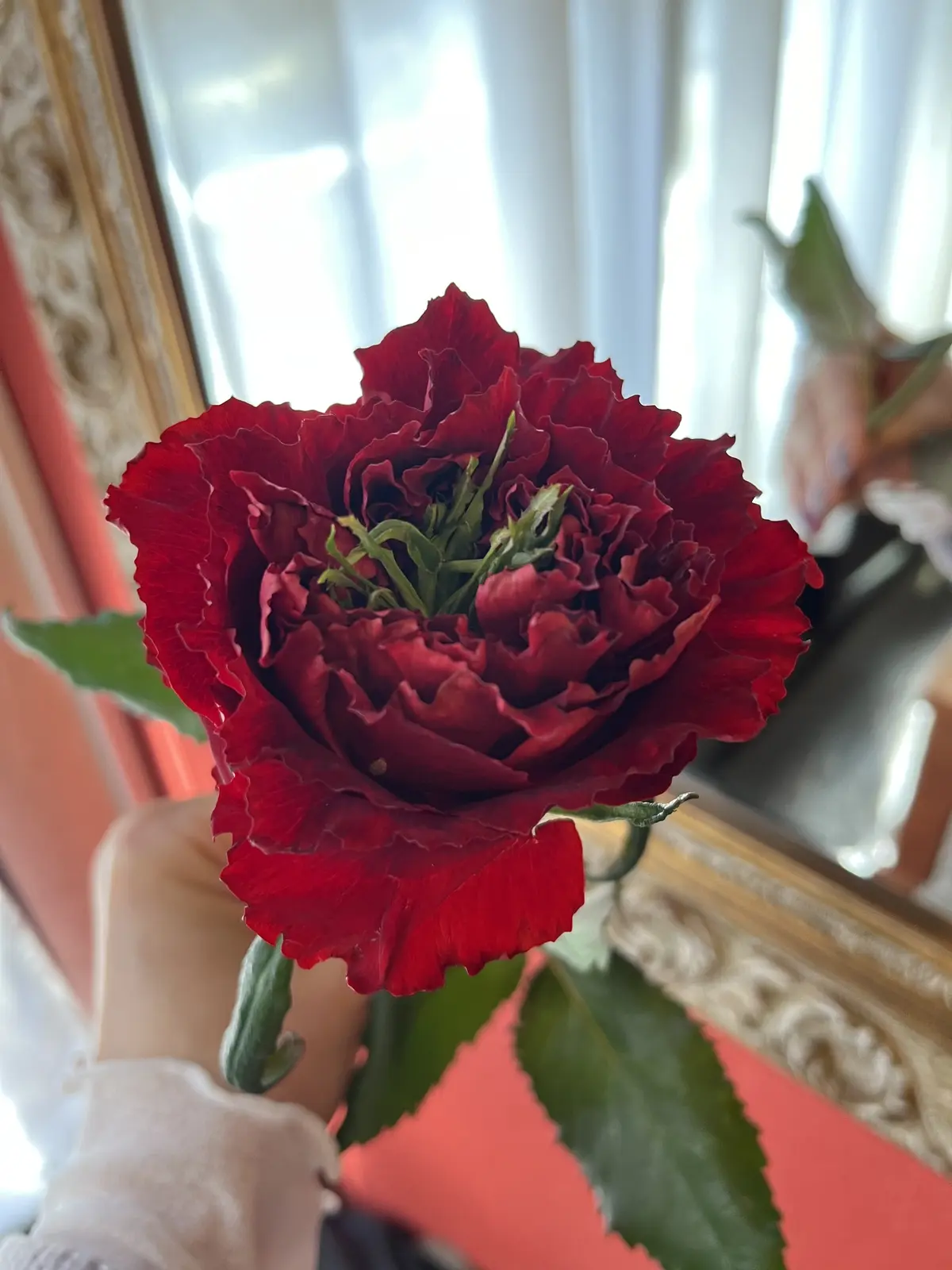 花活色々の画像_8