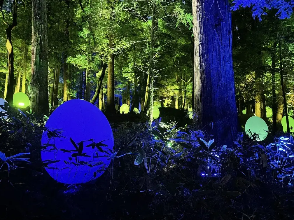 開放感いっぱいの自然空間でデジタルアートの画像_1