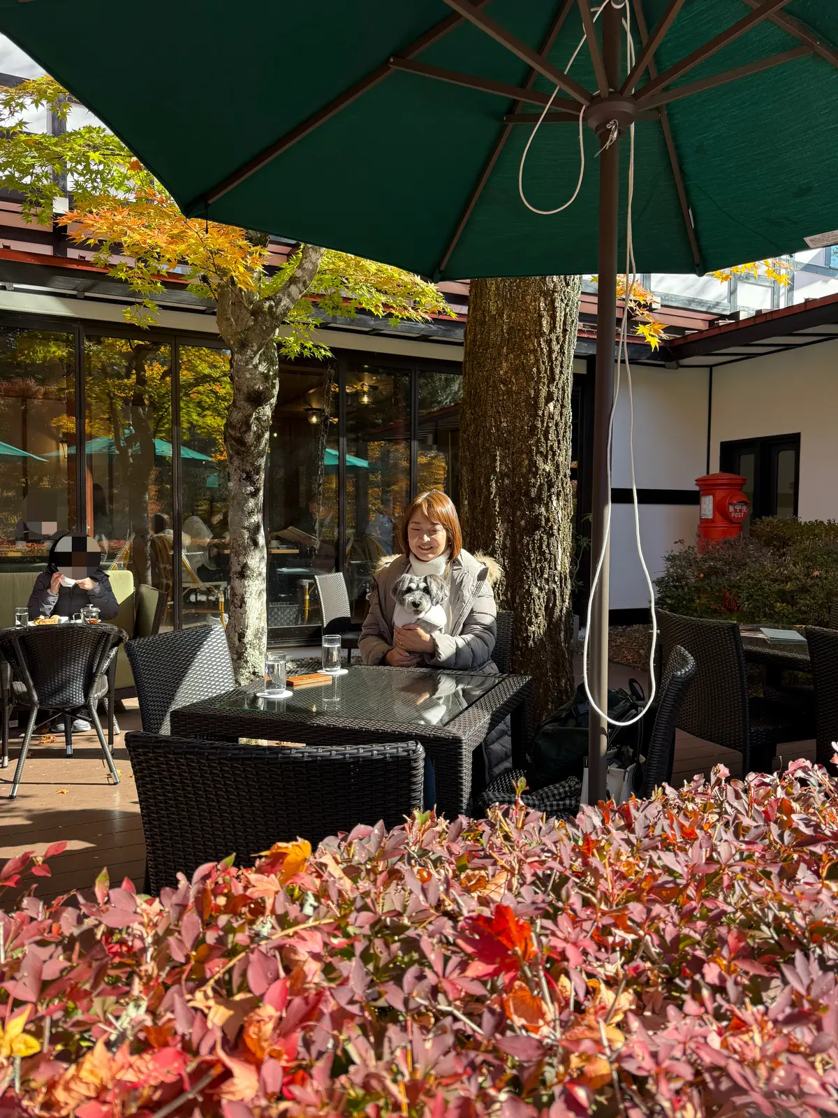 万平ホテル　カフェテラス　梅澤千佳子