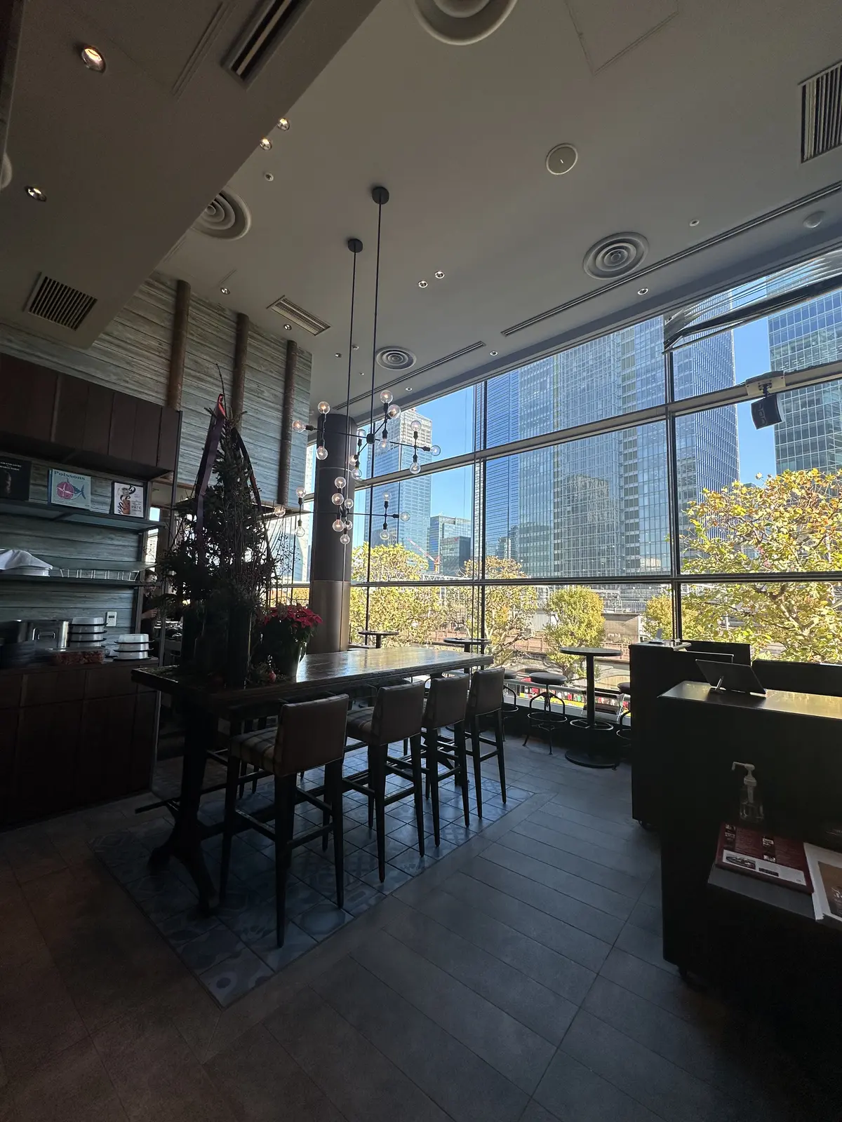 師走の丸の内からの画像_12