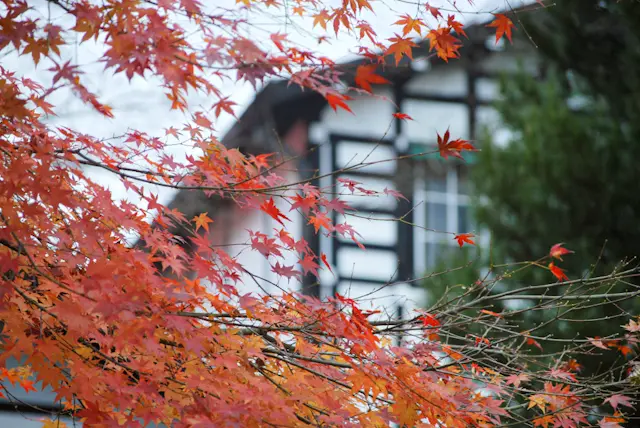 【さかぽんの冒険】レガシー❤️万平ホテルの画像_2