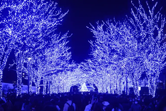 年の瀬のご挨拶 & 勝手に【さかぽんアワの画像_3