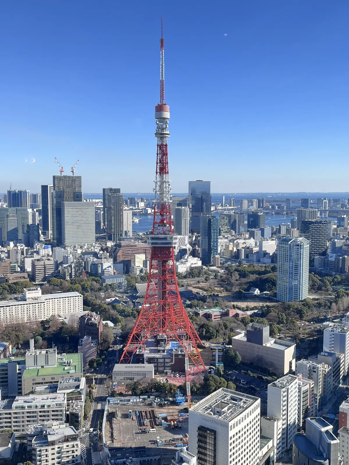 今年最初の3連休はの画像_14